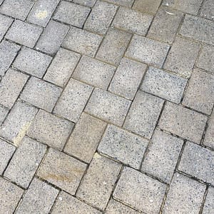 Dalkeith Brick Repairs #6