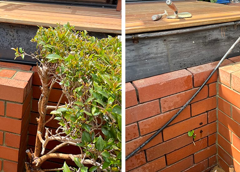 Boundary Wall Repairs